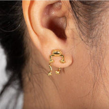 Load image into Gallery viewer, Cute Frog Earrings
