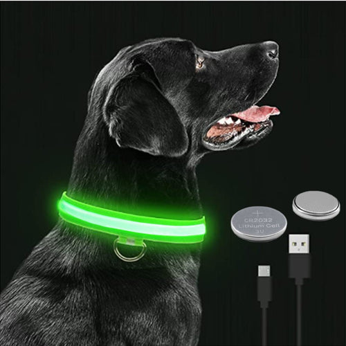 LED Dog Collar, Make Your Dogs Be Visible & Safe at Night