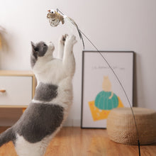 Load image into Gallery viewer, Interactive Bird Toy For Cats