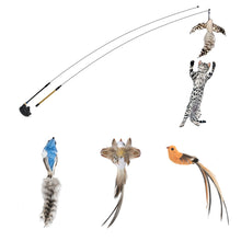 Load image into Gallery viewer, Interactive Bird Toy For Cats