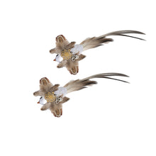 Load image into Gallery viewer, Interactive Bird Toy For Cats