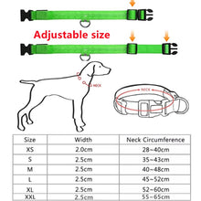 Load image into Gallery viewer, LED Dog Collar, Make Your Dogs Be Visible &amp; Safe at Night