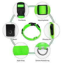 Load image into Gallery viewer, LED Dog Collar, Make Your Dogs Be Visible &amp; Safe at Night