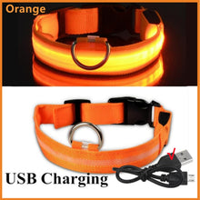 Load image into Gallery viewer, LED Dog Collar, Make Your Dogs Be Visible &amp; Safe at Night