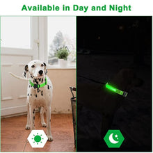 Load image into Gallery viewer, LED Dog Collar, Make Your Dogs Be Visible &amp; Safe at Night