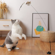 Load image into Gallery viewer, Interactive Bird Toy For Cats